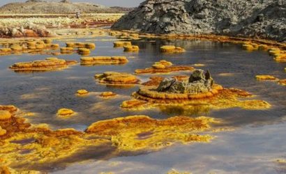 denakil Afar